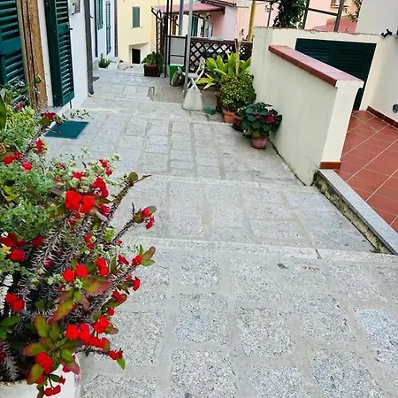 Il Giglio *